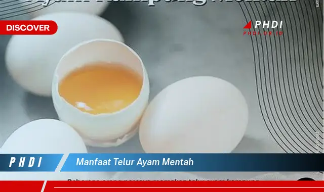 manfaat telur ayam mentah