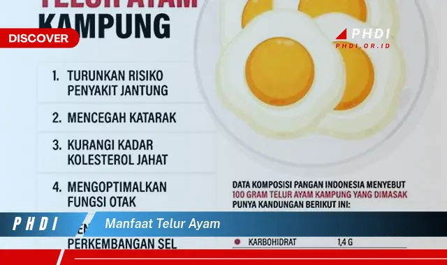 manfaat telur ayam