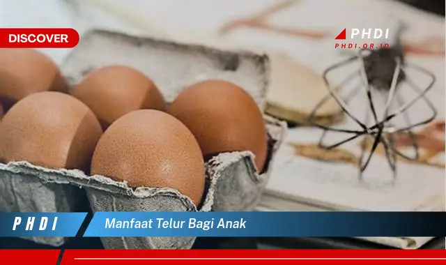 manfaat telur bagi anak