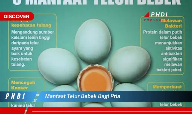 manfaat telur bebek bagi pria