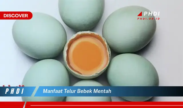 manfaat telur bebek mentah