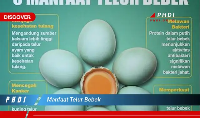 manfaat telur bebek