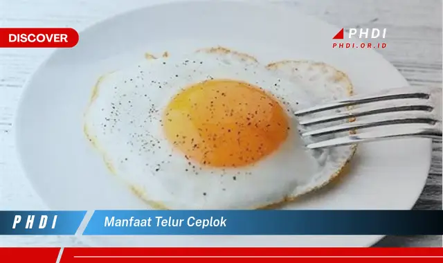 manfaat telur ceplok