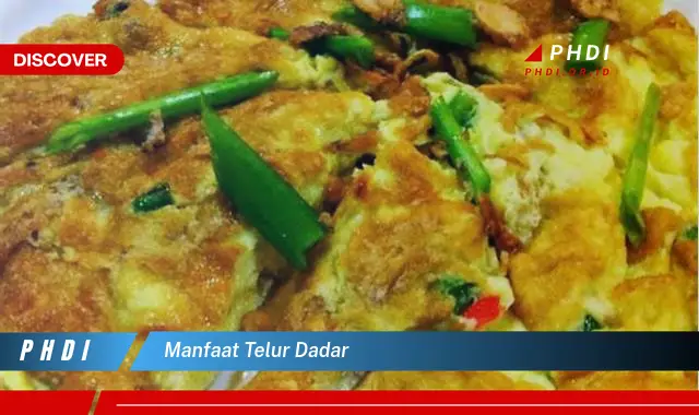 manfaat telur dadar