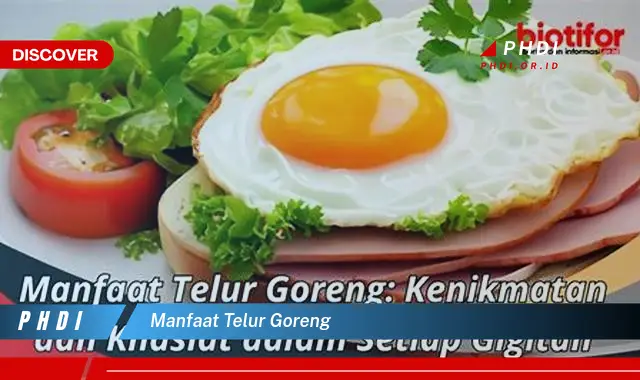 manfaat telur goreng