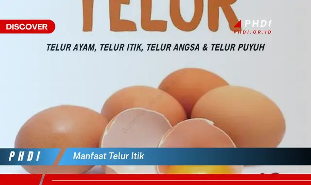 manfaat telur itik