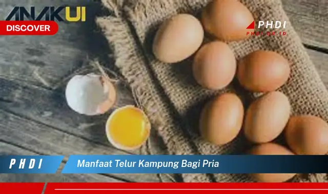 manfaat telur kampung bagi pria