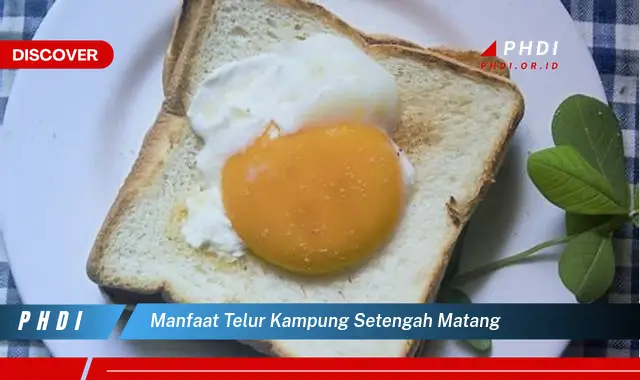 manfaat telur kampung setengah matang