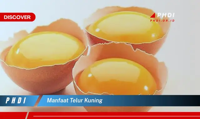 manfaat telur kuning