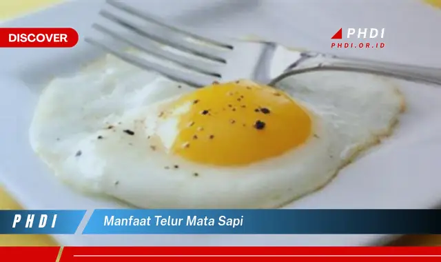 manfaat telur mata sapi