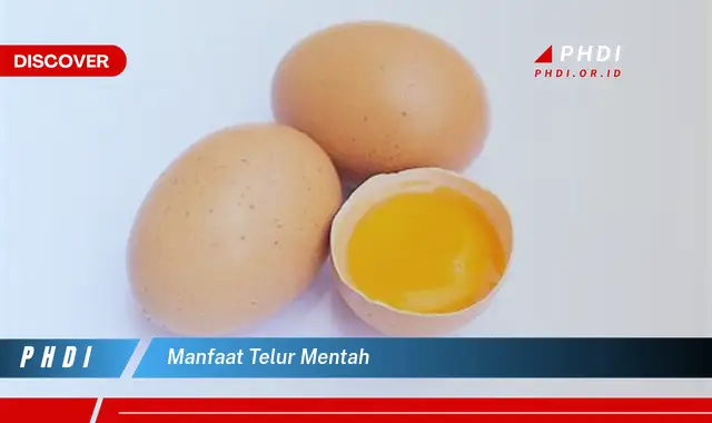 manfaat telur mentah