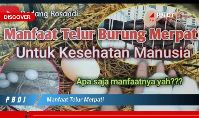 manfaat telur merpati