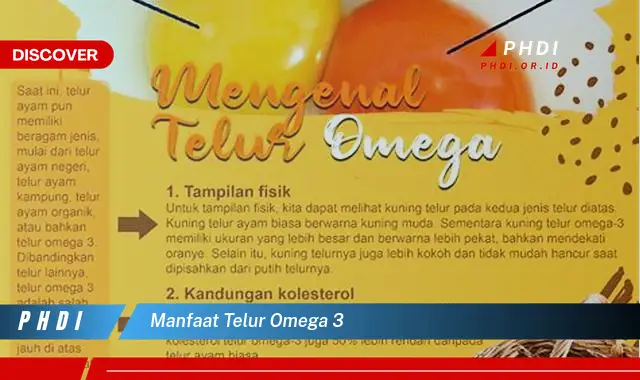 manfaat telur omega 3