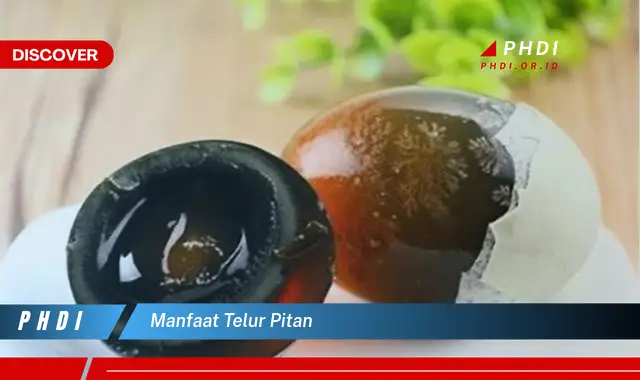 manfaat telur pitan