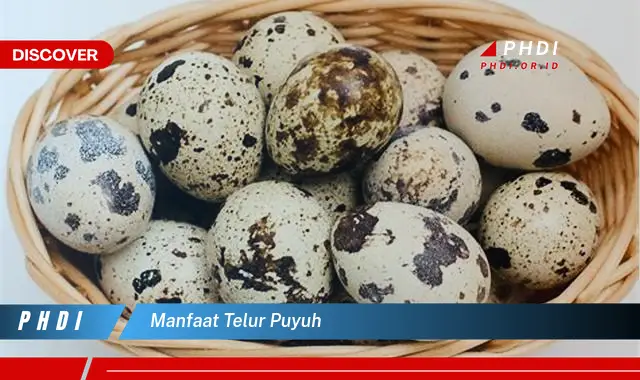 manfaat telur puyuh