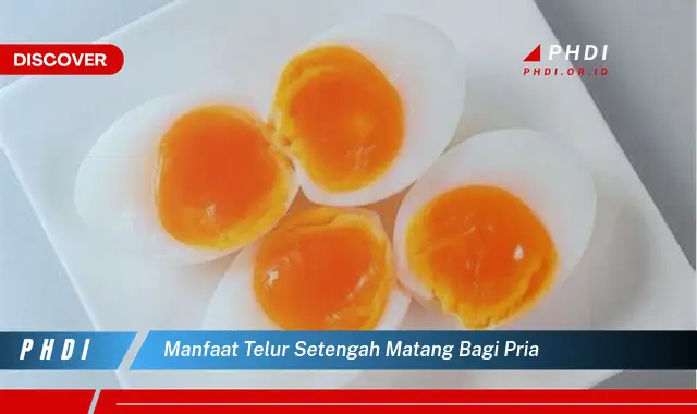 manfaat telur setengah matang bagi pria