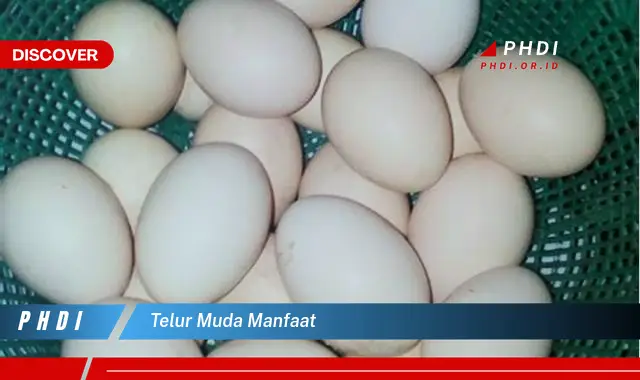 telur muda manfaat