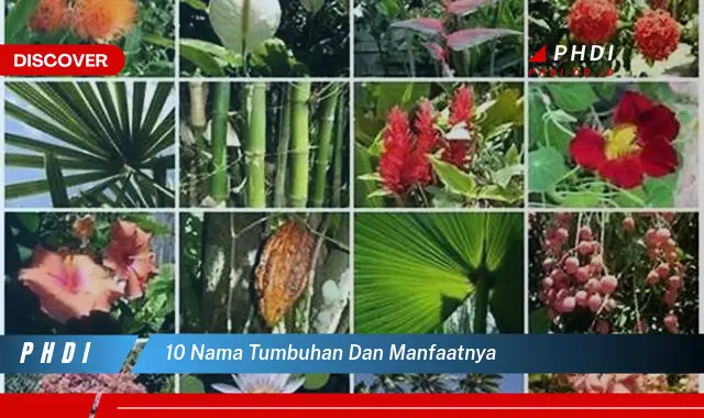 10 nama tumbuhan dan manfaatnya