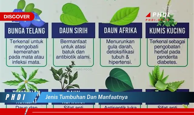 jenis tumbuhan dan manfaatnya