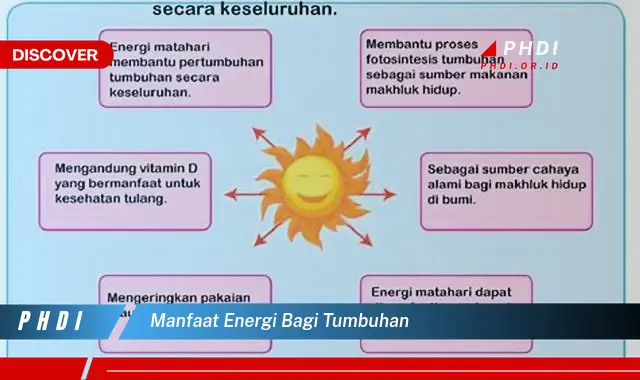 manfaat energi bagi tumbuhan