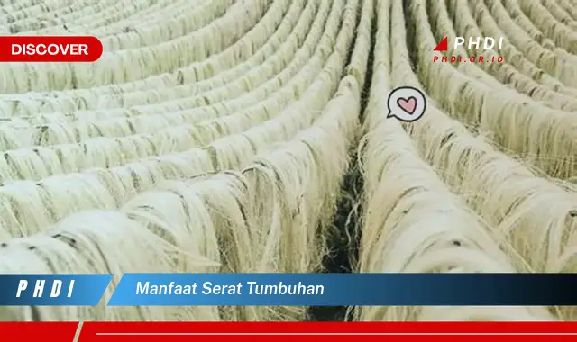 manfaat serat tumbuhan