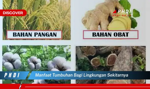 manfaat tumbuhan bagi lingkungan sekitarnya