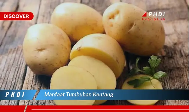 manfaat tumbuhan kentang