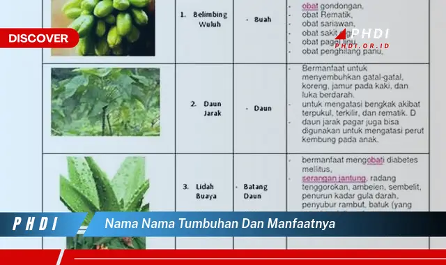 nama nama tumbuhan dan manfaatnya