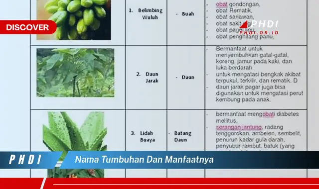 nama tumbuhan dan manfaatnya