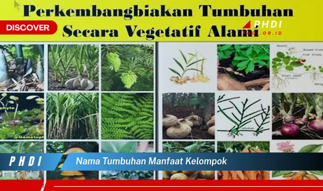 nama tumbuhan manfaat kelompok