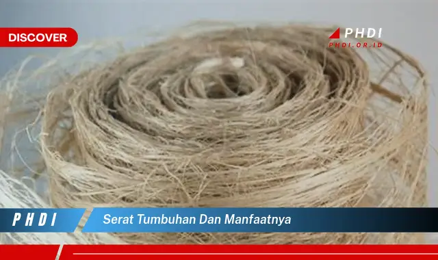 serat tumbuhan dan manfaatnya