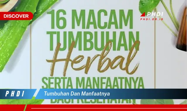 tumbuhan dan manfaatnya