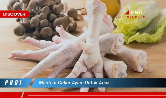 manfaat ceker ayam untuk anak