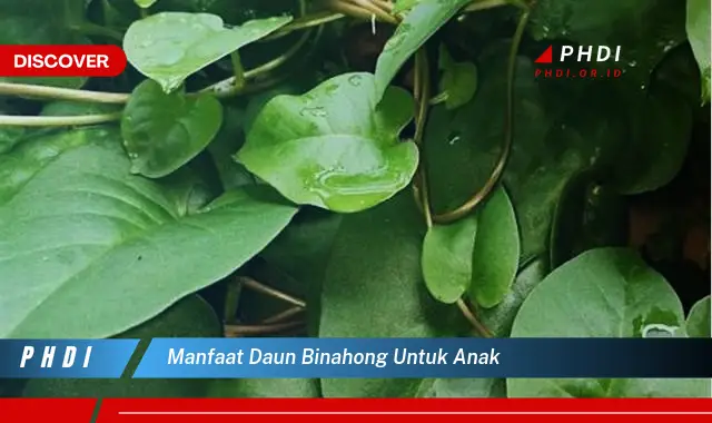 manfaat daun binahong untuk anak