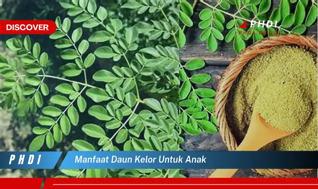 manfaat daun kelor untuk anak