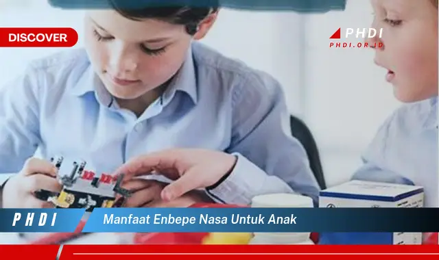 manfaat enbepe nasa untuk anak