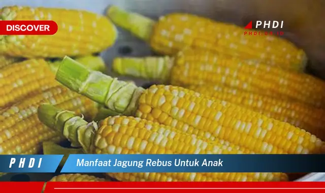 manfaat jagung rebus untuk anak