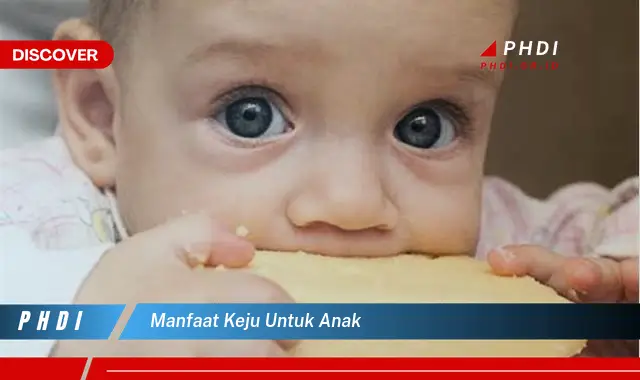 manfaat keju untuk anak