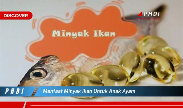 manfaat minyak ikan untuk anak ayam