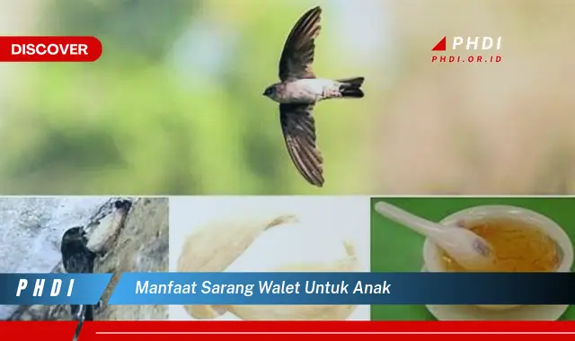 manfaat sarang walet untuk anak