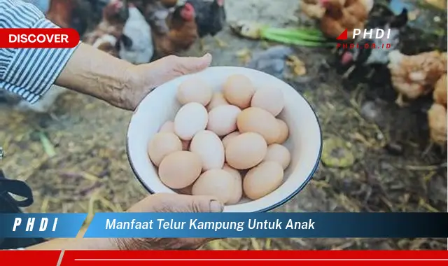 manfaat telur kampung untuk anak