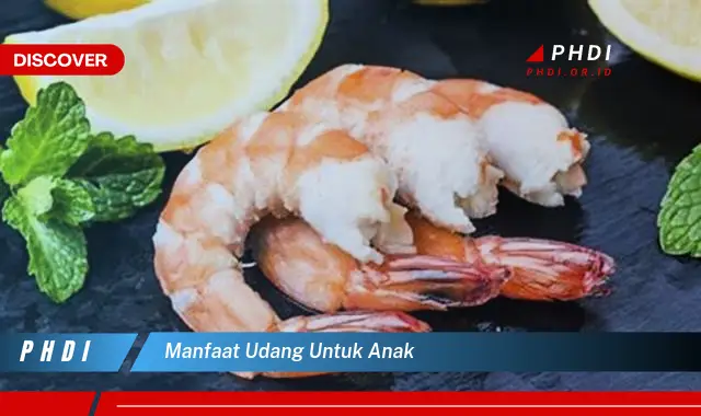 manfaat udang untuk anak