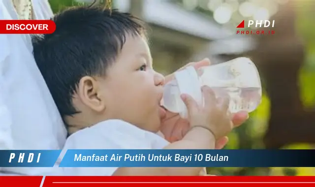 manfaat air putih untuk bayi 10 bulan