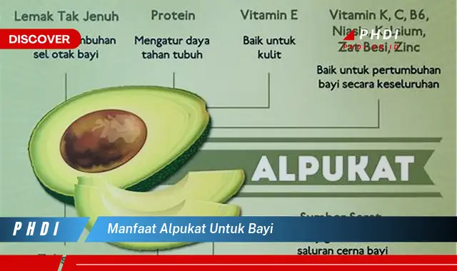 manfaat alpukat untuk bayi