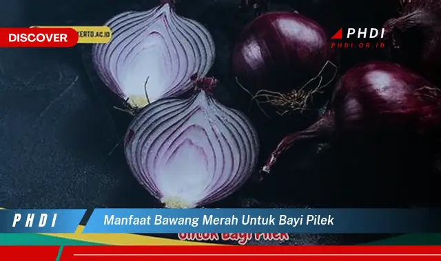 manfaat bawang merah untuk bayi pilek