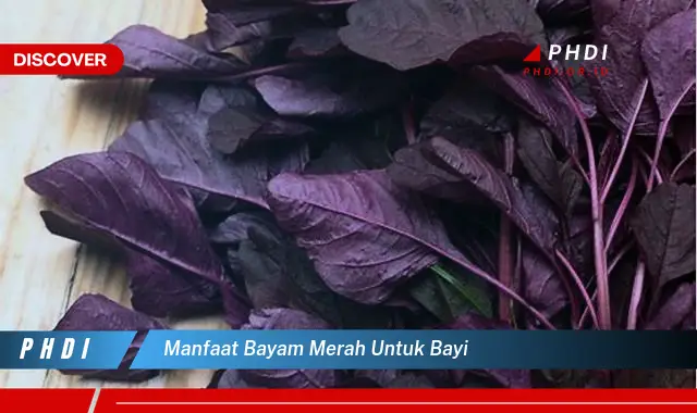 manfaat bayam merah untuk bayi