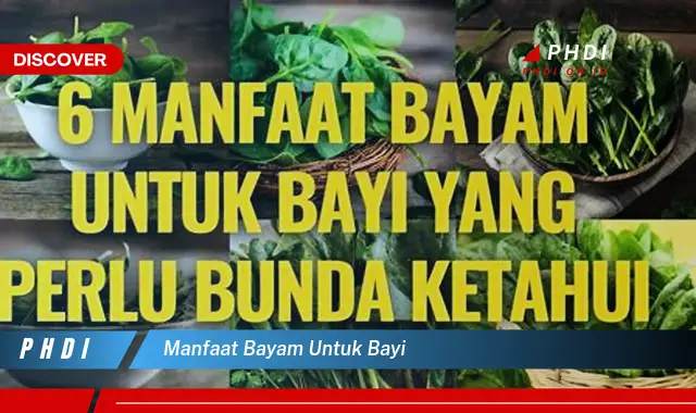 manfaat bayam untuk bayi