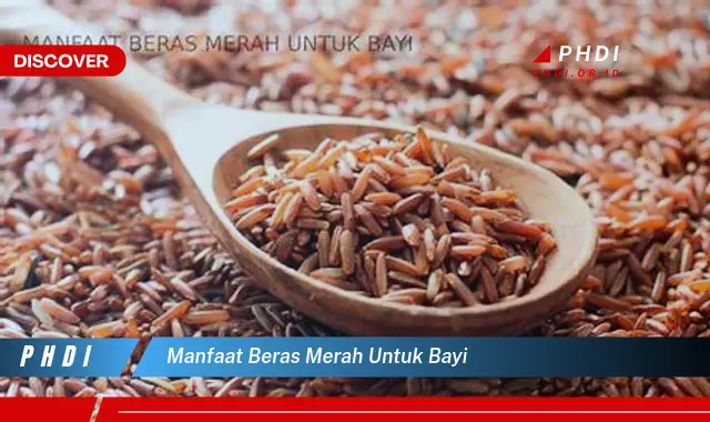 manfaat beras merah untuk bayi