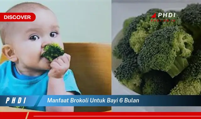 manfaat brokoli untuk bayi 6 bulan