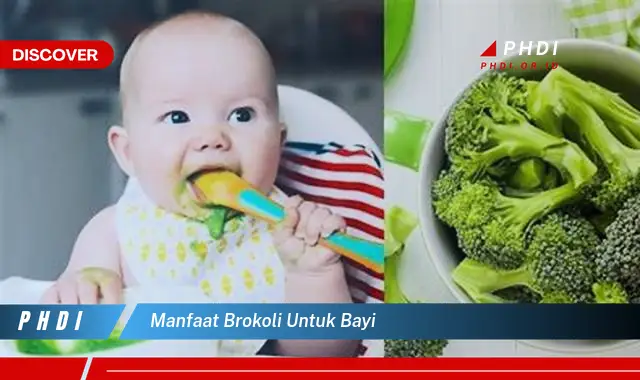 manfaat brokoli untuk bayi